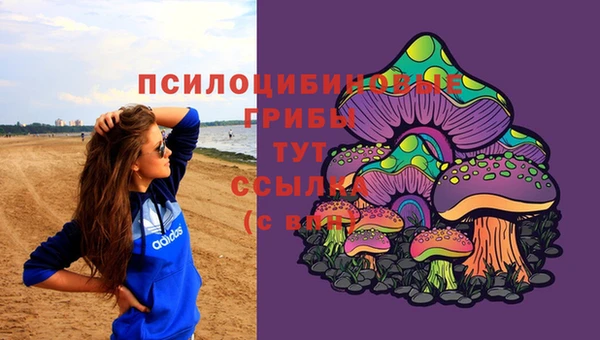 мяу мяу мука Заводоуковск